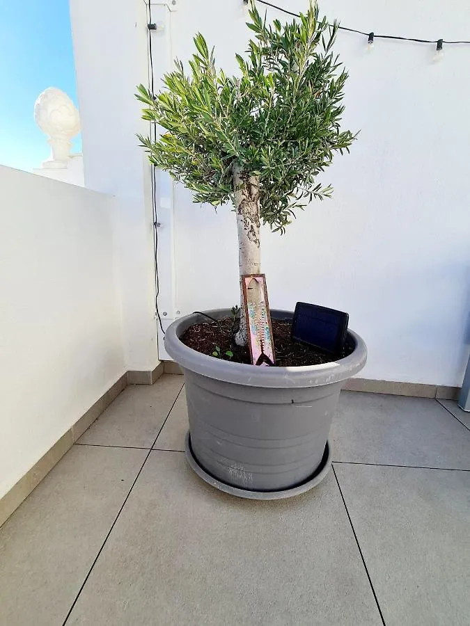 הוילה La Cala Del Moral Casa Sabino